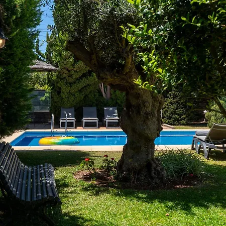 Villa Esperanca By An Island Calheta (Madeira)